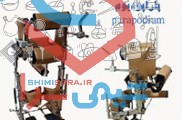 پاراپودیوم
